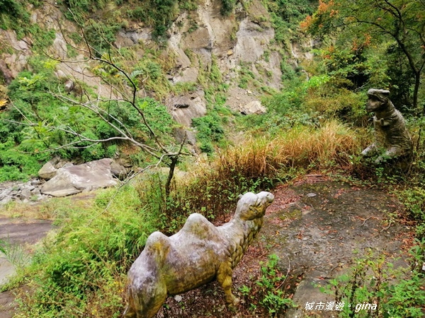 【雲林古坑】山間小旅行。草嶺風景區~蓬萊瀑布步道