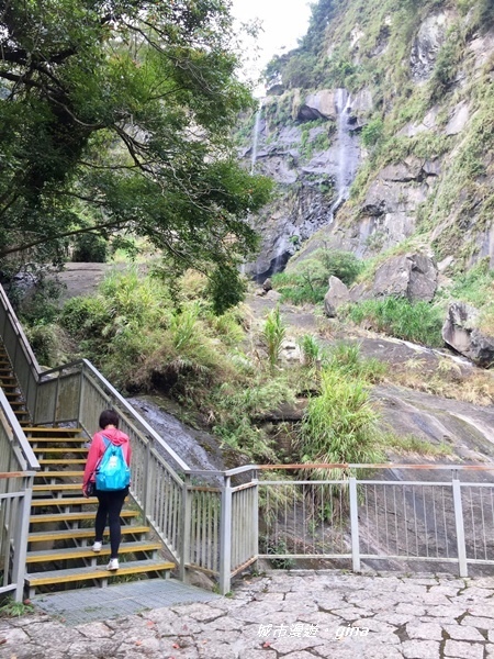 【雲林古坑】山間小旅行。草嶺風景區~蓬萊瀑布步道