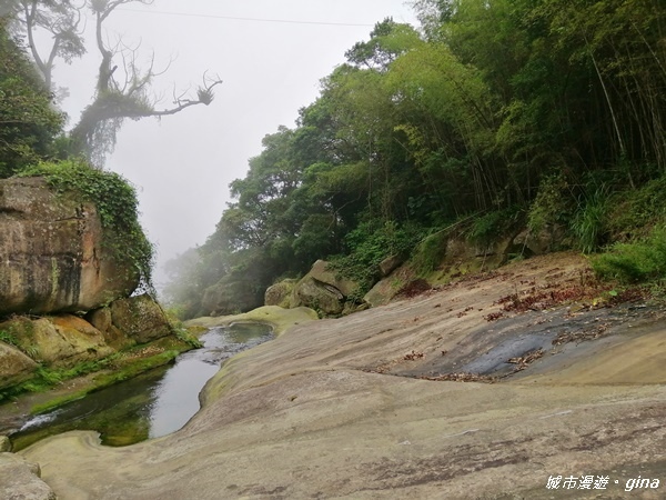 【雲林古坑】山間小旅行。草嶺風景區~石壁遊龍湖步道