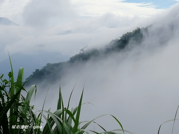 【雲林古坑】山間小旅行。草嶺風景區~石壁遊龍湖步道