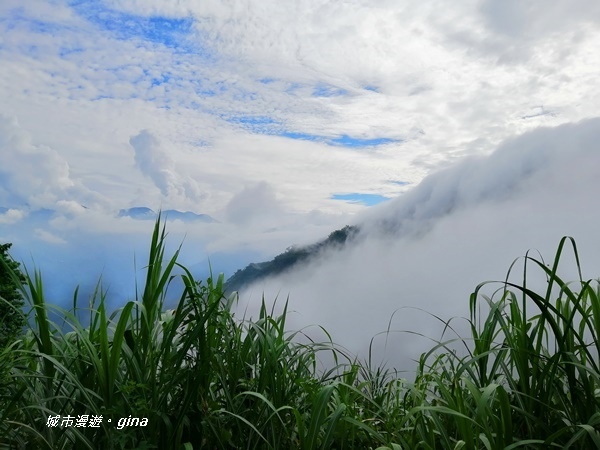 【雲林古坑】山間小旅行。草嶺風景區~石壁遊龍湖步道