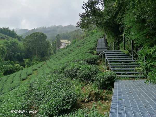 【雲林古坑】山間小旅行。草嶺風景區~石壁遊龍湖步道