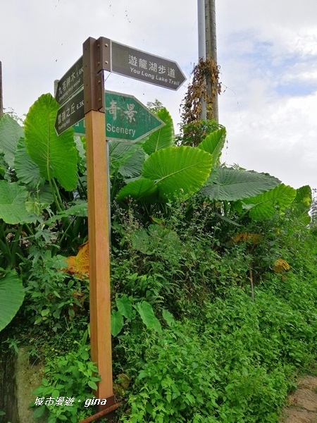 【雲林古坑】山間小旅行。草嶺風景區~石壁遊龍湖步道