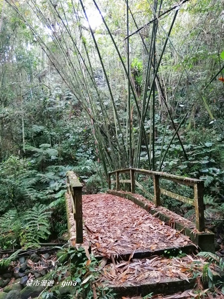 【雲林古坑】山間小旅行。草嶺風景區~石壁遊龍湖步道