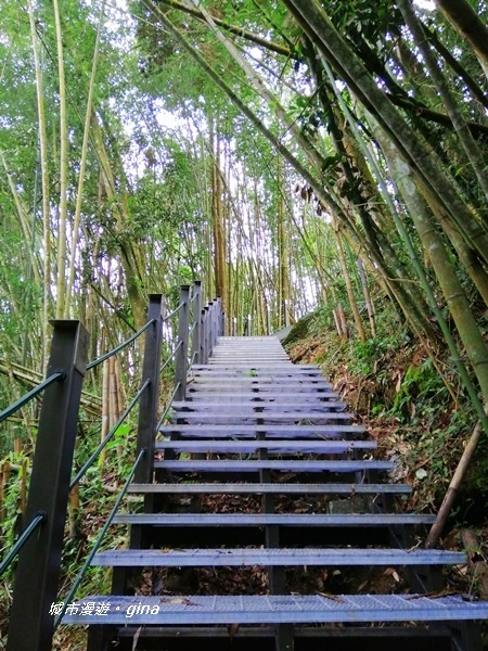 【雲林古坑】山間小旅行。草嶺風景區~石壁遊龍湖步道