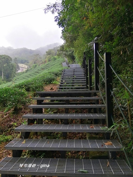 【雲林古坑】山間小旅行。草嶺風景區~石壁遊龍湖步道