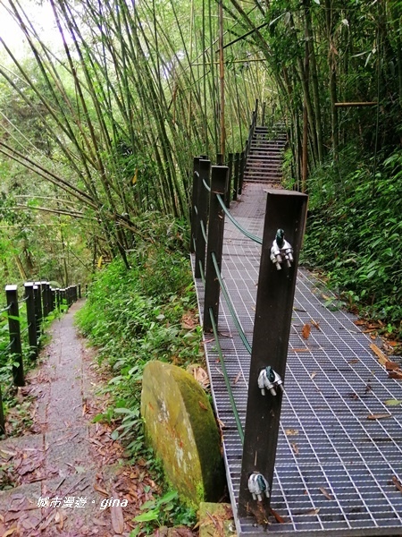 【雲林古坑】山間小旅行。草嶺風景區~石壁遊龍湖步道