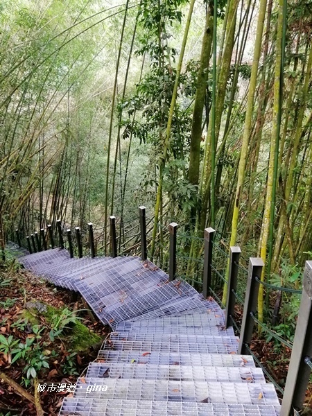 【雲林古坑】山間小旅行。草嶺風景區~石壁遊龍湖步道