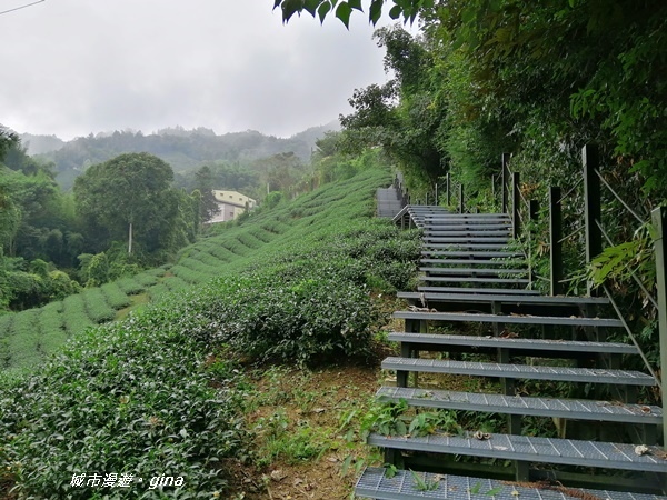 【雲林古坑】山間小旅行。草嶺風景區~石壁遊龍湖步道