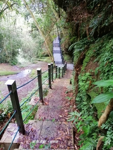 【雲林古坑】山間小旅行。草嶺風景區~石壁遊龍湖步道