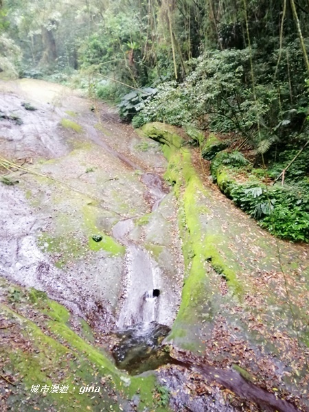 【雲林古坑】山間小旅行。草嶺風景區~石壁遊龍湖步道