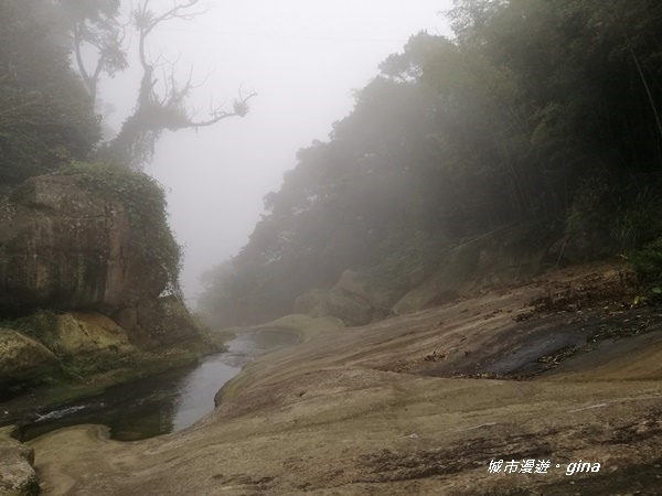 【雲林古坑】山間小旅行。草嶺風景區~石壁遊龍湖步道