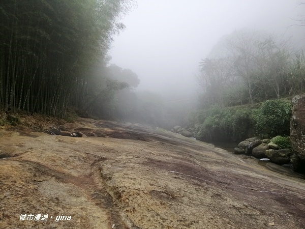 【雲林古坑】山間小旅行。草嶺風景區~石壁遊龍湖步道