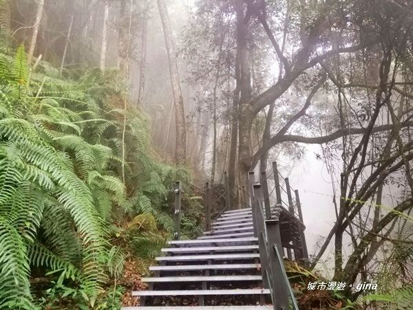 【雲林古坑】山間小旅行。草嶺風景區~石壁遊龍湖步道