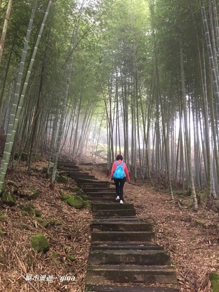 【雲林古坑】山間小旅行。草嶺風景區~石壁遊龍湖步道