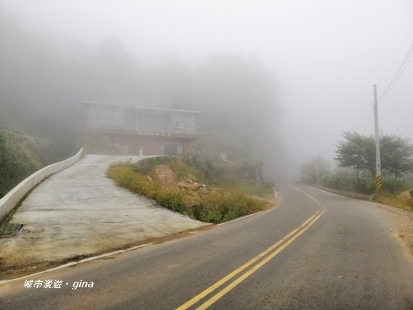 【雲林古坑】山間小旅行。草嶺風景區~石壁遊龍湖步道