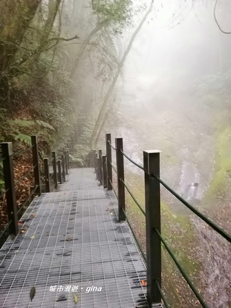 【雲林古坑】山間小旅行。草嶺風景區~石壁遊龍湖步道