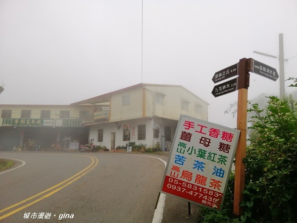 【雲林古坑】山間小旅行。草嶺風景區~石壁遊龍湖步道