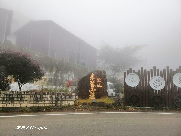 【雲林古坑】山間小旅行。草嶺風景區~石壁遊龍湖步道