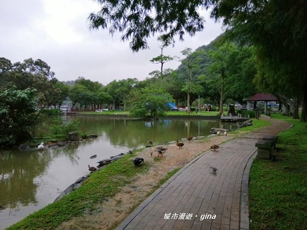 【台北內湖】山光水色。 大湖公園環湖步道