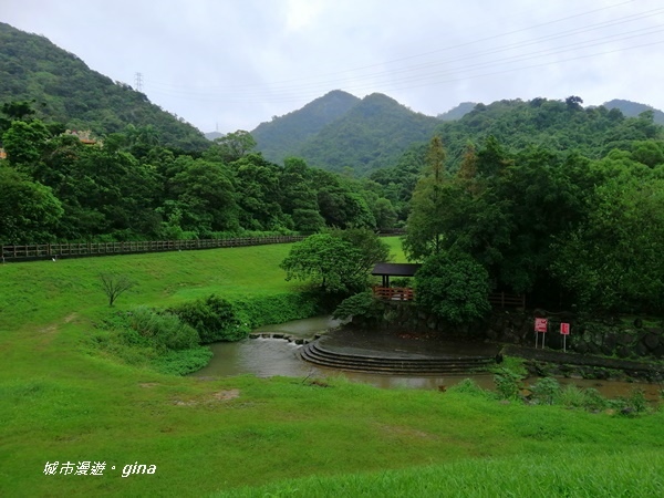 【台北內湖】親水綠地散散步。大溝溪溪畔步道