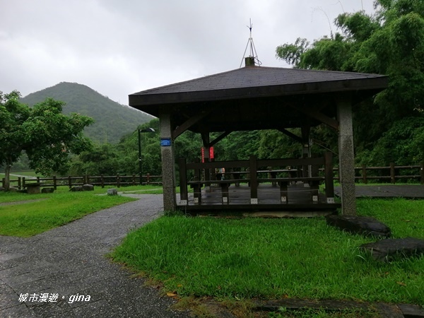 【台北內湖】親水綠地散散步。大溝溪溪畔步道