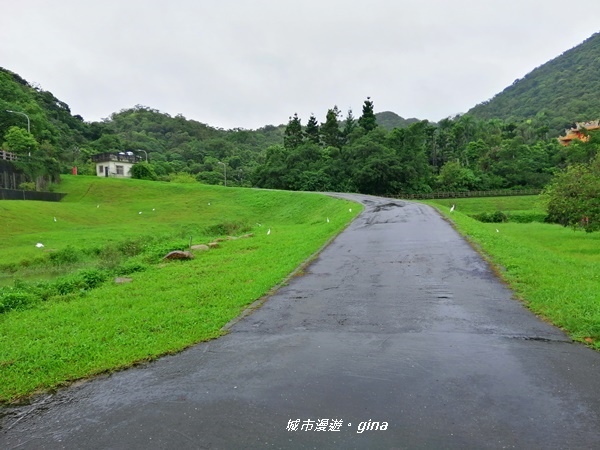 【台北內湖】親水綠地散散步。大溝溪溪畔步道