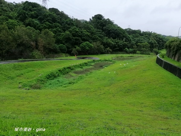 【台北內湖】親水綠地散散步。大溝溪溪畔步道