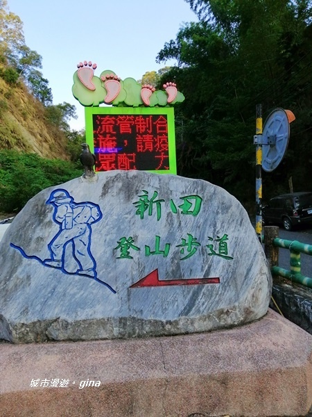 IMG_20201031_113928.jpg IMG_20201031_113928.jpg