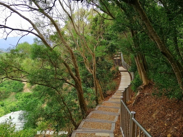 【台中潭子】蒼鬱森林芬多精。 聚興山新田登山步道