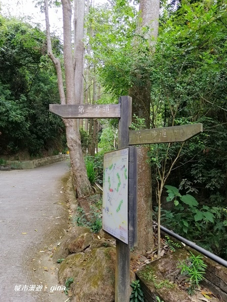 【台中潭子】蒼鬱森林芬多精。 聚興山新田登山步道