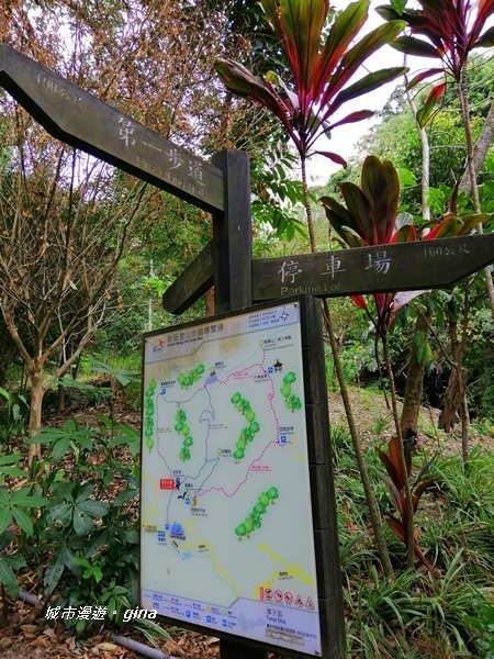 IMG_20201031_114240.jpg IMG_20201031_114240.jpg