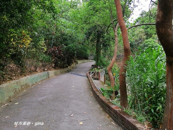 IMG_20201031_114055.jpg IMG_20201031_114055.jpg