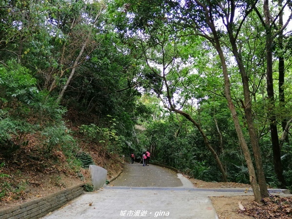 IMG_20201031_114831.jpg IMG_20201031_114831.jpg