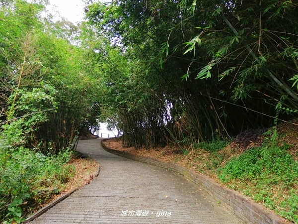 IMG_20201031_115729.jpg IMG_20201031_115729.jpg