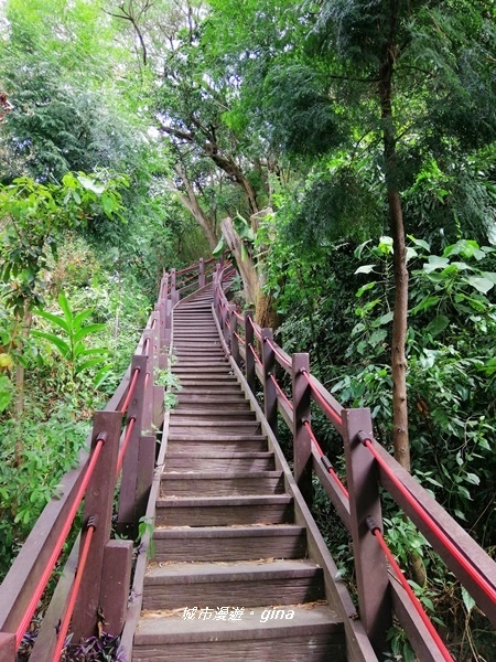 IMG_20201031_120127.jpg IMG_20201031_120127.jpg