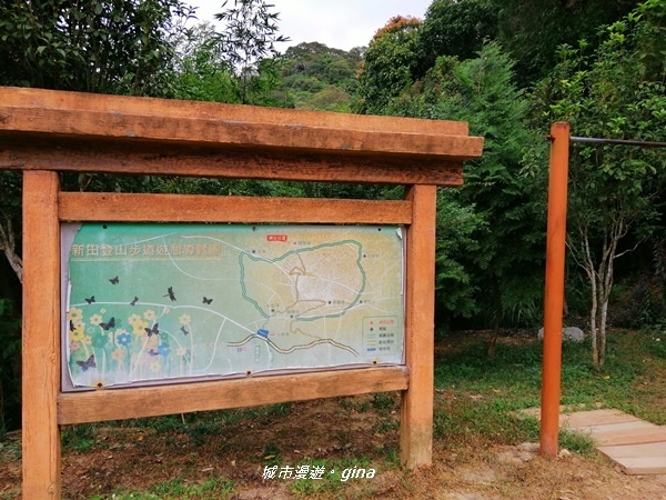 IMG_20201031_115917.jpg IMG_20201031_115917.jpg