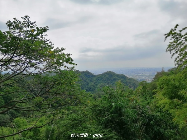 【台中潭子】蒼鬱森林芬多精。 聚興山新田登山步道