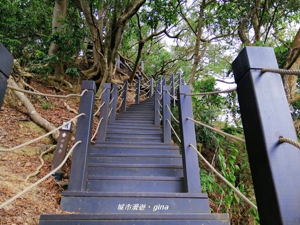 【台中潭子】蒼鬱森林芬多精。 聚興山新田登山步道