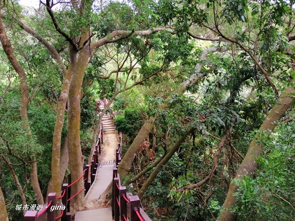 IMG_20201031_120503.jpg IMG_20201031_120503.jpg