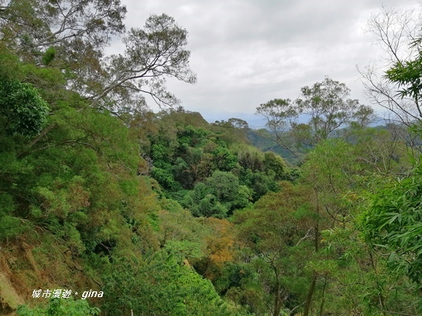 IMG_20201031_121322.jpg IMG_20201031_121322.jpg