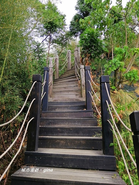 IMG_20201031_121325.jpg IMG_20201031_121325.jpg