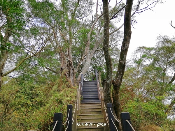 IMG_20201031_121117.jpg IMG_20201031_121117.jpg