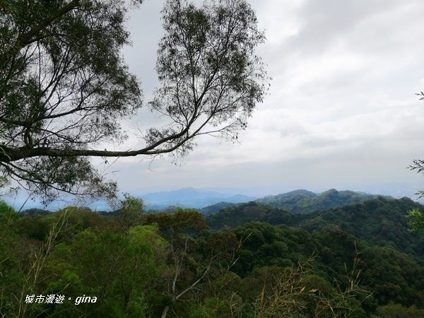 IMG_20201031_121415.jpg IMG_20201031_121415.jpg