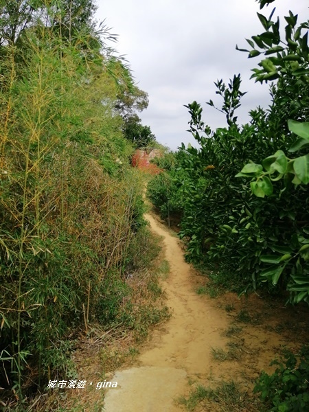 IMG_20201031_121636.jpg IMG_20201031_121636.jpg