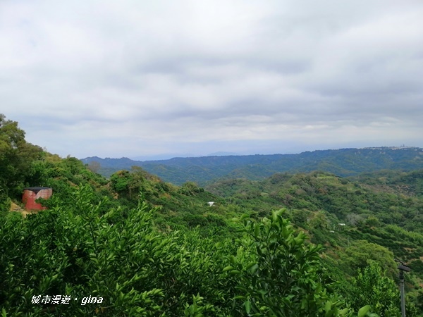 IMG_20201031_121529.jpg IMG_20201031_121529.jpg