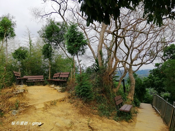 IMG_20201031_121429.jpg IMG_20201031_121429.jpg