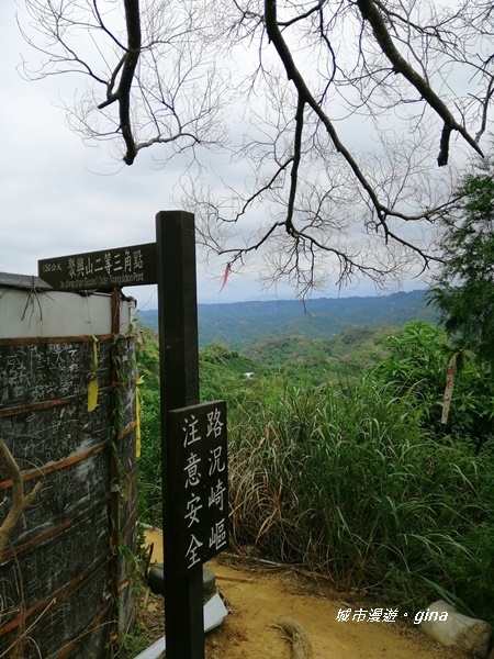 IMG_20201031_121503.jpg IMG_20201031_121503.jpg