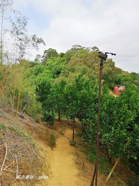 IMG_20201031_121535.jpg IMG_20201031_121535.jpg