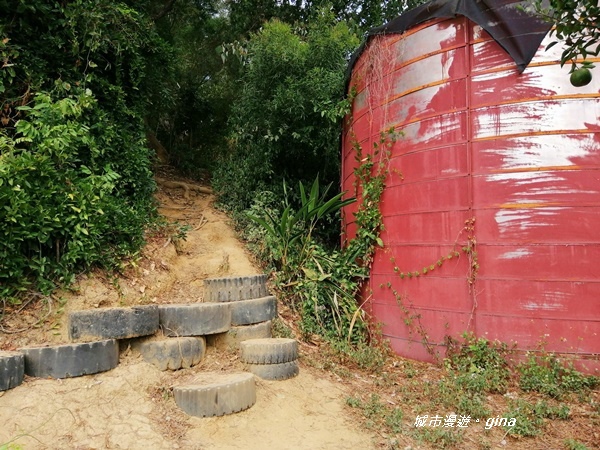 IMG_20201031_121725.jpg IMG_20201031_121725.jpg